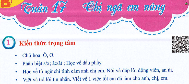 Ôn tập Tuần 17