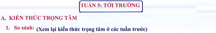 Ôn tập Tuần 5